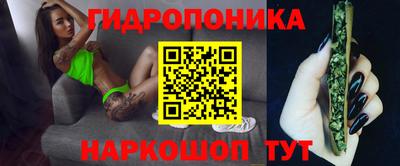 a pvp Будённовск