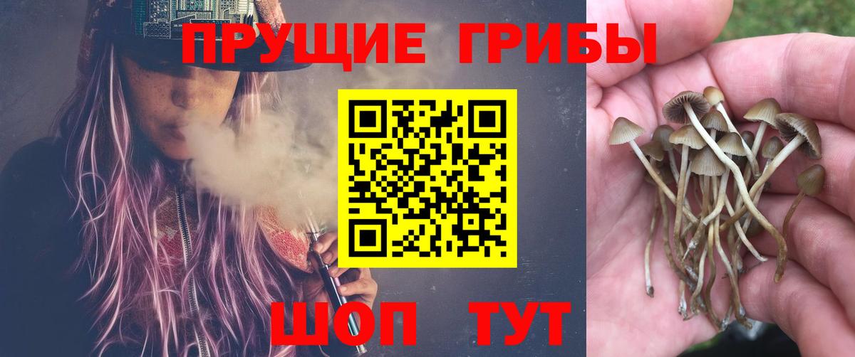 Псилоцибиновые грибы мицелий Севастополь